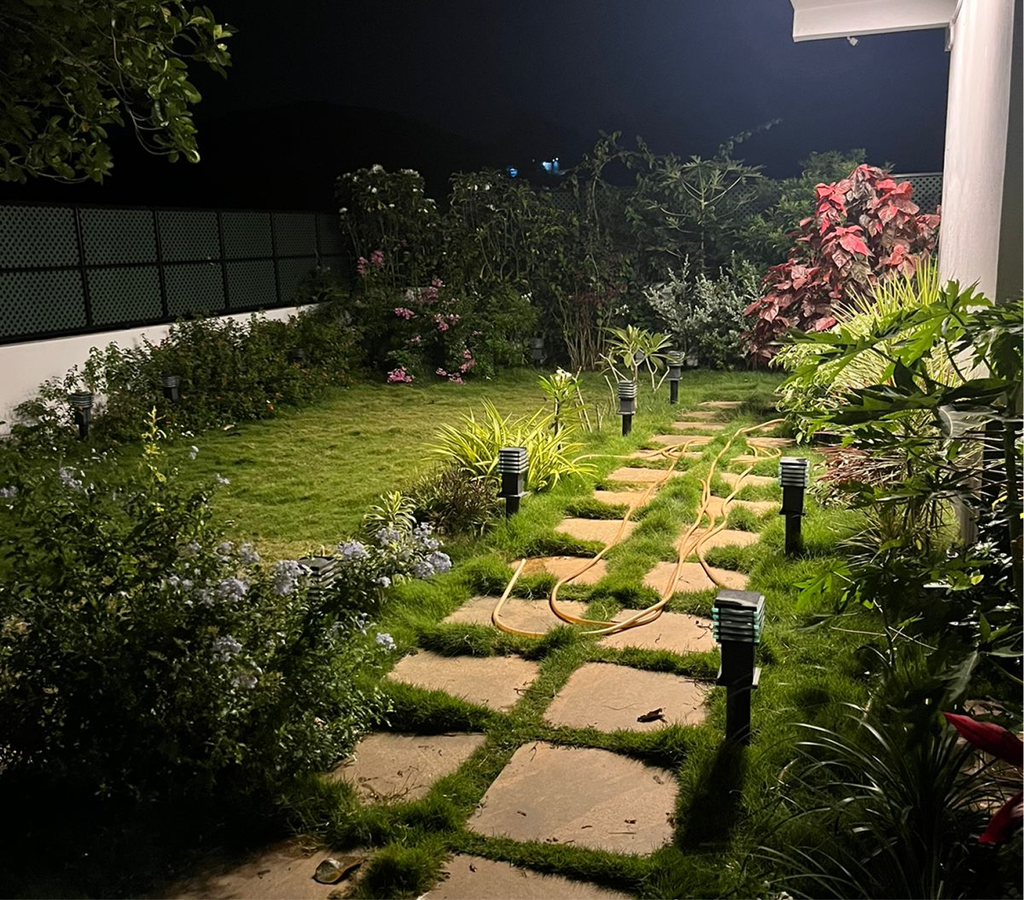 Illuminated garden